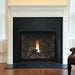Empire Tahoe 36" DVCP36BP Clean Face Premium Direct Vent Gas Fireplace - Upzy.com