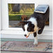 Endura Patio Pacific Thermo Sash 3E SASH WINDOW Pet Door - Upzy.com