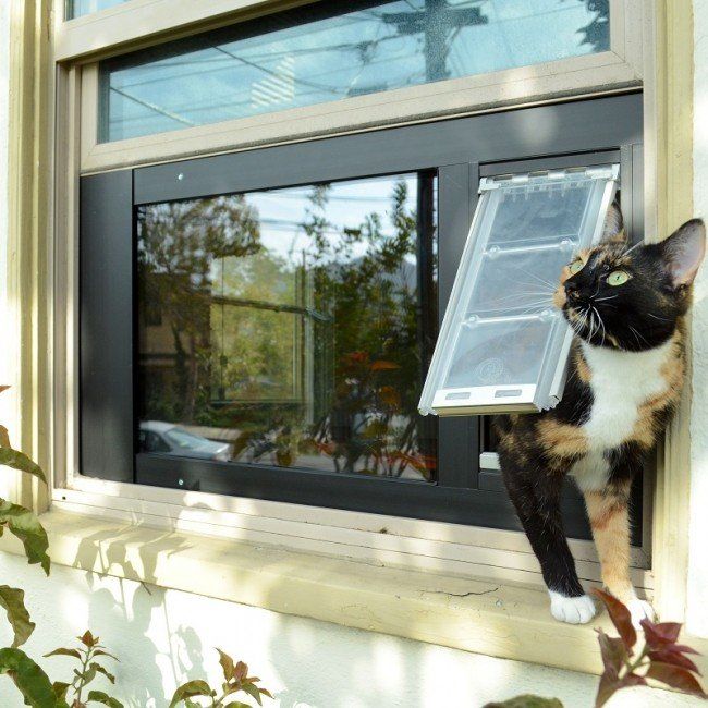 Endura Patio Pacific Thermo Sash 3E SASH WINDOW Pet Door - Upzy.com