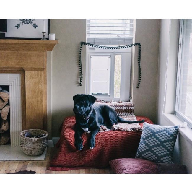 Endura Patio Pacific Thermo Sash 3E SASH WINDOW Pet Door - Upzy.com