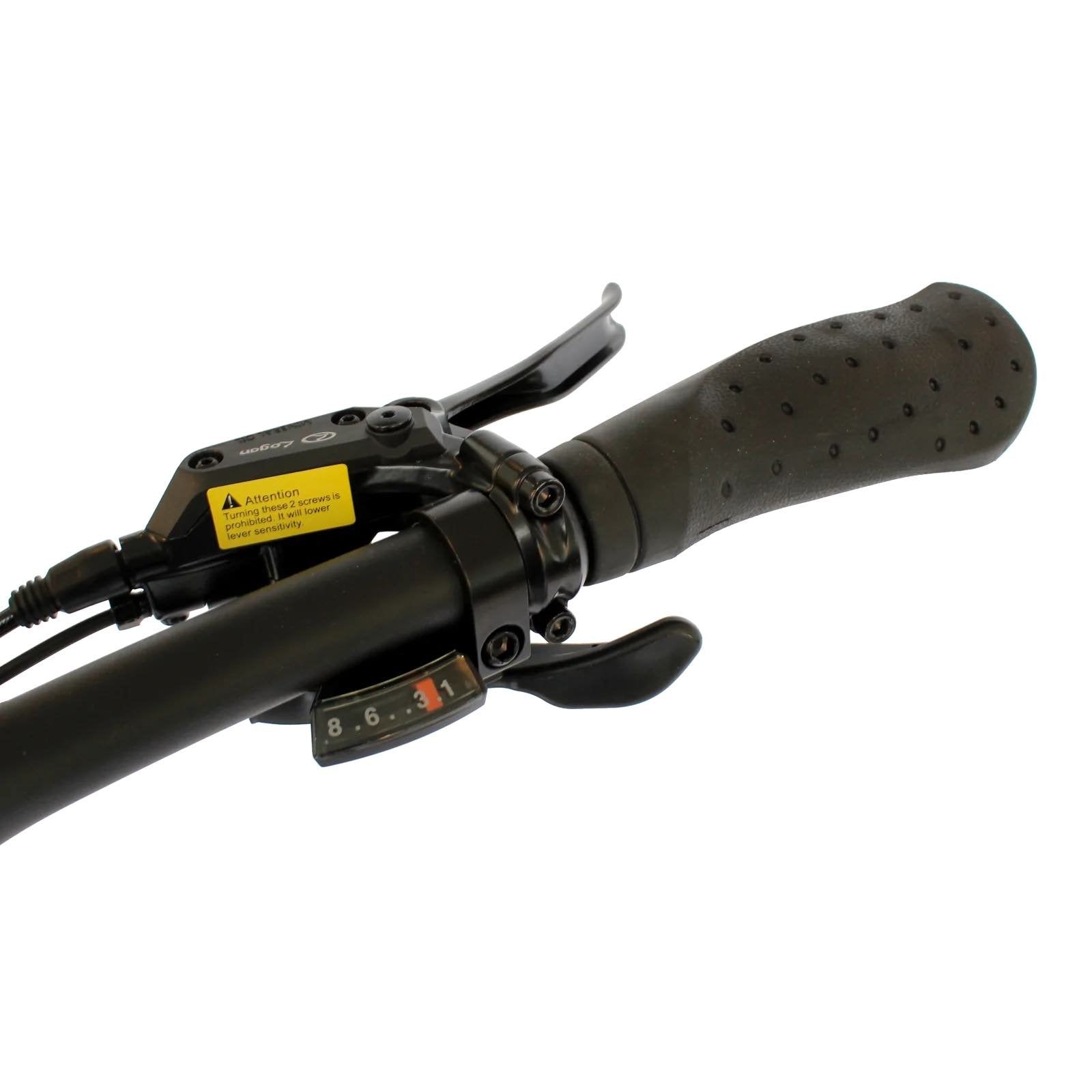 2025 Gio LIGHTNING 500W 48V 8 Speed Folding Fat Tire Electric Bike, Rear Rack