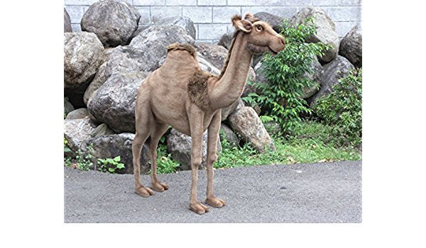 Hansa Creations Andromeda Camel Lifesize 5'6' Stuffed Animal Toy 4678 - Upzy.com