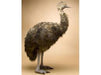 Hansa Creations Emu Life Size 50" Plush Stuffed Animal, 2676 - Upzy.com