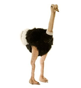 Hansa Creations Male Ostrich Polyester Handcrafted Stuffed Animal Toy, 3268 - Upzy.com