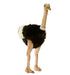 Hansa Creations Male Ostrich Polyester Handcrafted Stuffed Animal Toy, 3268 - Upzy.com