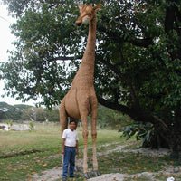 Hansa Creations Real Life Size Giraffe 16 Foot Tall Stuffed Animal Toy, 3884 - Upzy.com