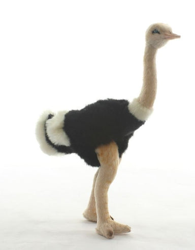 Hansa Creations Small Ostrich Handcrafted Stuffed Animal Toy, 3630 - Upzy.com