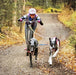 Kickbike America Cross 29er Adult Body-Powered Kick Dog Scooter - Upzy.com