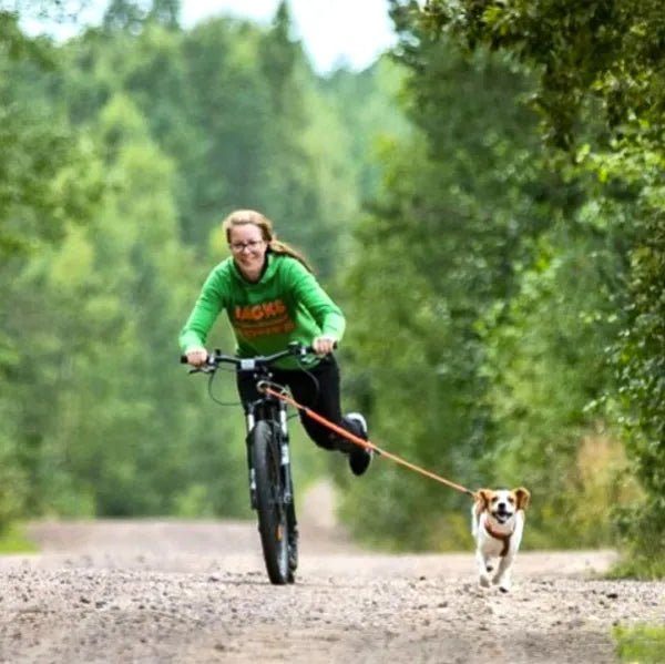 Kickbike mushing deals