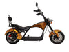 LinksEride M1 Citycoco 2 SEATER 2000W 60V 30Ah Fat Tire Lithium Electric Scooter - Upzy.com