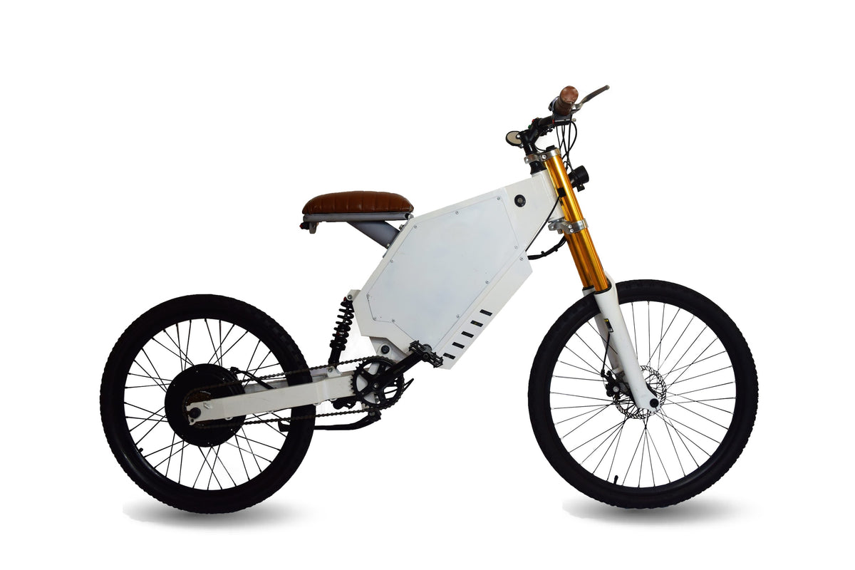 Okapi 1000W 48V Starter Edition High Performance Electric Bike —