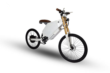 Okapi 1000W 48V Starter Edition Long Range High Performance Electric Bike - Upzy.com