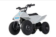 Pure Fun World PFW EA-14 350W Mini Quad Kids Electric All-Terrain Vehicle ATV - Upzy.com