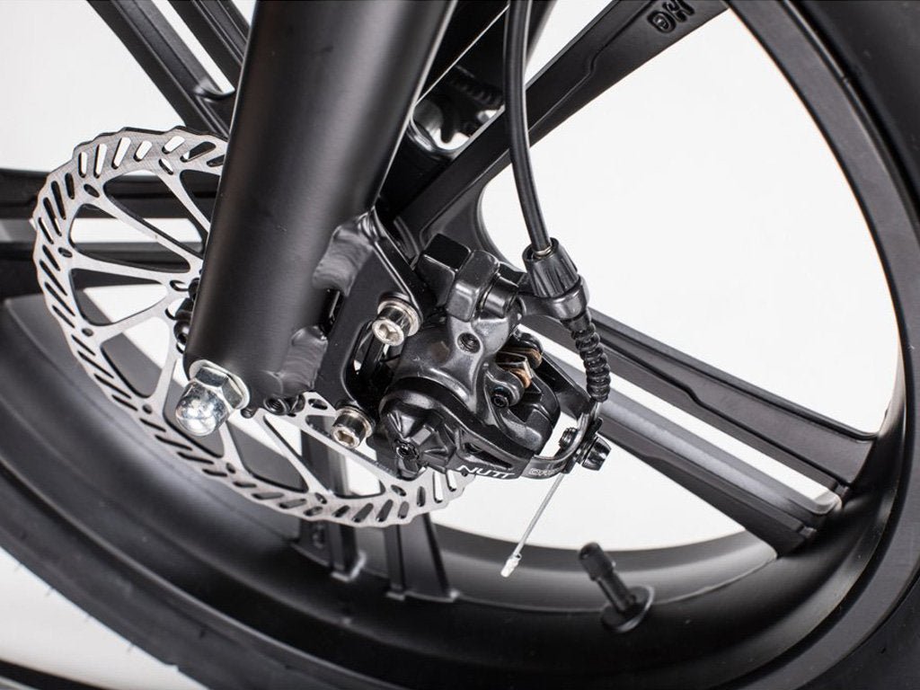 Qualisports Beluga 500W 48V 20" 7 Speed Fat Tire Folding Electric Bike - Upzy.com