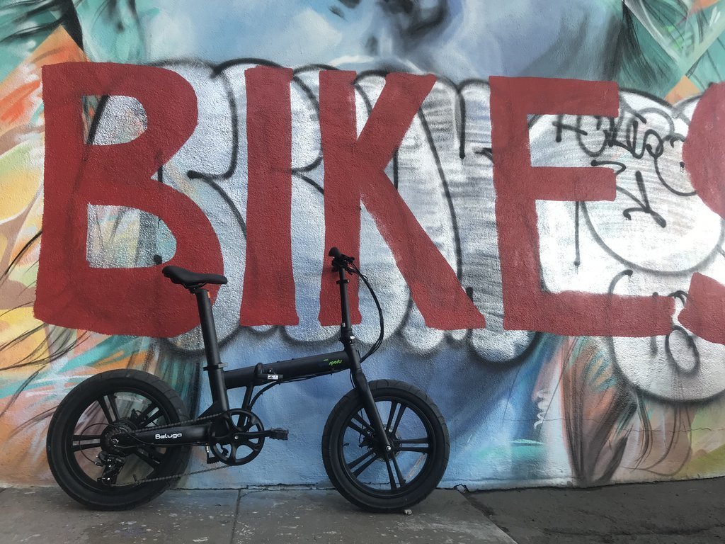 Qualisports Beluga 500W 48V 20" 7 Speed Fat Tire Folding Electric Bike - Upzy.com