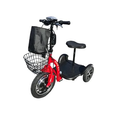 RMB-EV Multi Point Quick Release 500W 48V Electric Tricycle - Upzy.com