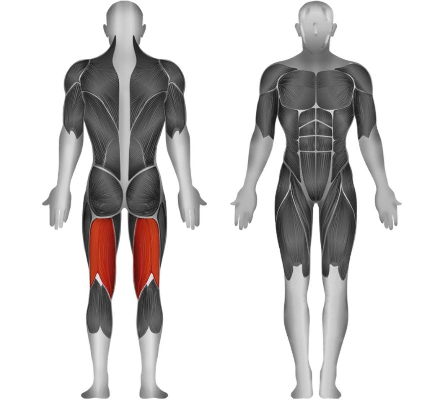 Steelflex JGLC400 Prone Leg Curl Jungle Gym Single Station Weight Machine - Upzy.com