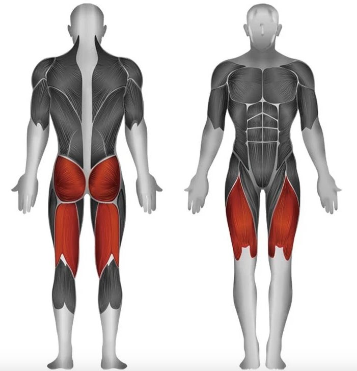 Steelflex JGLP500 Leg Press Jungle Gym Single Station Weight Machine - Upzy.com