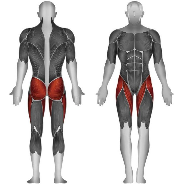 Steelflex JGMH1100 Outer/Inner Thigh Jungle Gym Single Station Weight Machine - Upzy.com