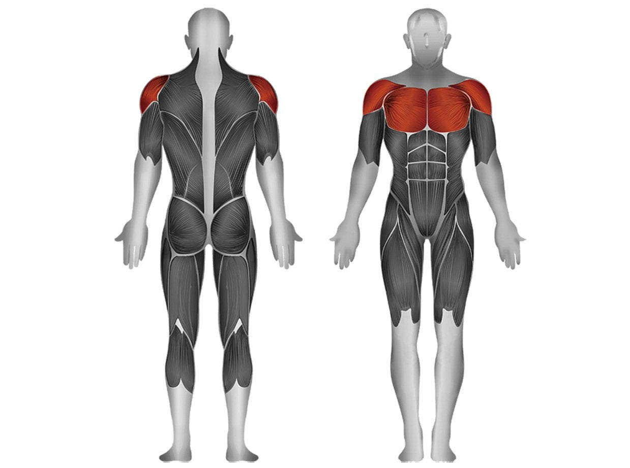 Steelflex JGPD700 Fly/Pec/Rear Deltoid Jungle Gym Single Station Weight Machine - Upzy.com