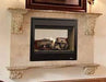 Superior 40" DRT40STDEN SEE-THROUGH Top/Rear Vent Direct Vent Fireplace - Upzy.com