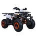 TaoTao G200 (Raptor) 4-Wheeler Utility All-Terrain Vehicle ATV - Upzy.com