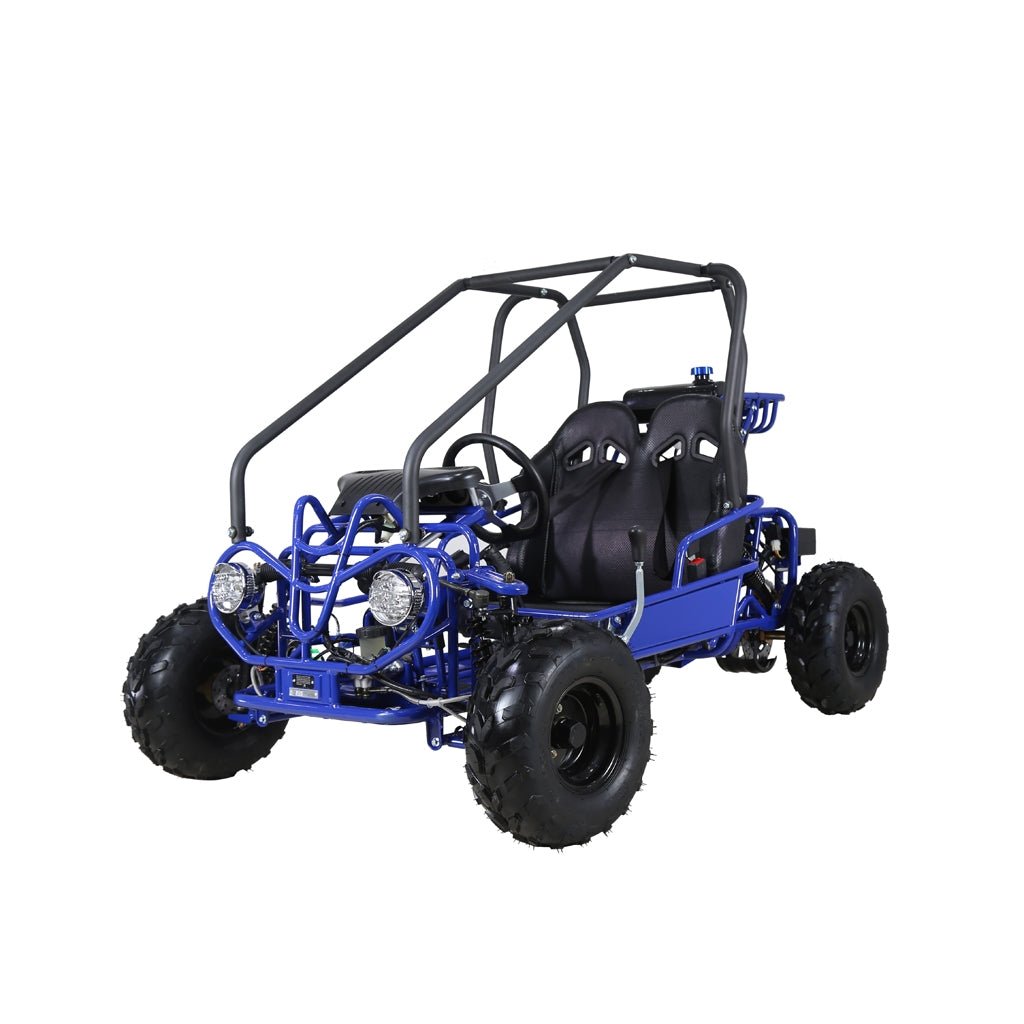 TaoTao GK110 Kids Gas Go Kart Dune Buggy, 110cc - Upzy.com