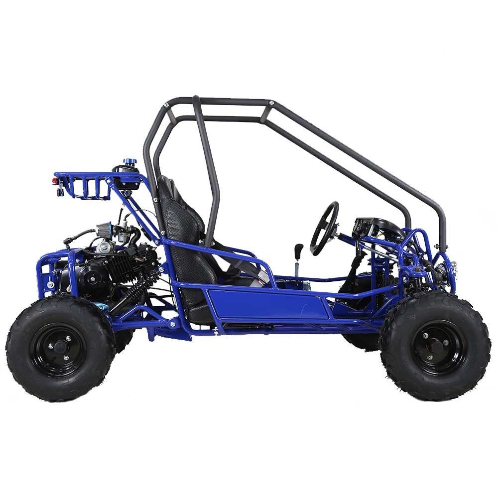 TaoTao GK110 Kids Gas Go Kart Dune Buggy, 110cc - Upzy.com