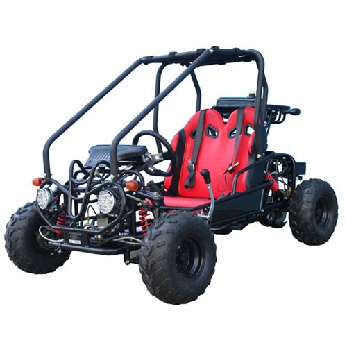 TaoTao GK110 Kids Gas Go Kart Dune Buggy, 110cc - Upzy.com