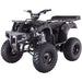 TaoTao Rhino 250 4-Wheeler Adult Size Gas All-Terrain Vehicle ATV - Upzy.com