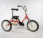Triaid Terrier Special Needs Kids' Tricycle - Upzy.com