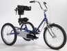 Triaid TMX Folding Special Needs Kids' Tricycle - Upzy.com