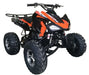 Vitacci Cougar Sport 200cc Quad All-Terrain Vehicle ATV - Upzy.com