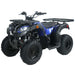 Vitacci Pentora UT-150cc Utility Quad Automatic All-Terrain Vehicle ATV - Upzy.com
