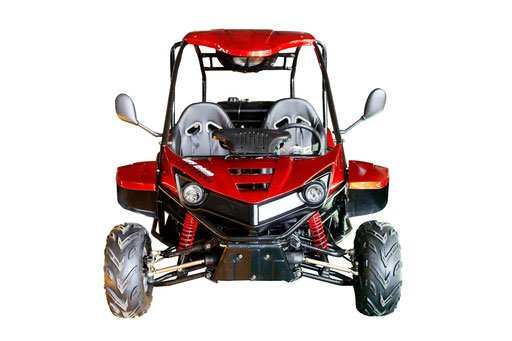 Vitacci T-Rex 125cc Air Cooled Off-Road Automatic Youth Gas Go Kart - Upzy.com