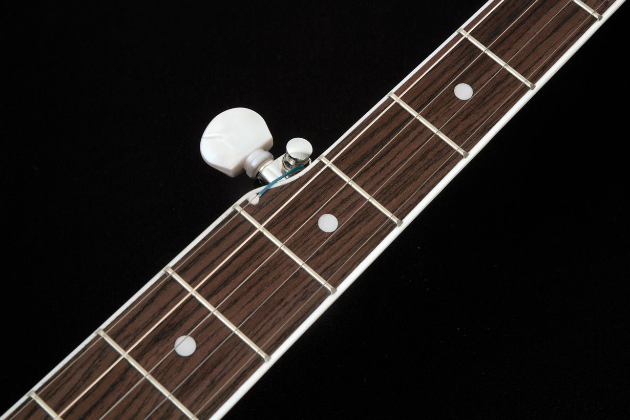 Washburn Americana Series B11 5 String Resonator Banjo Guitar - Upzy.com
