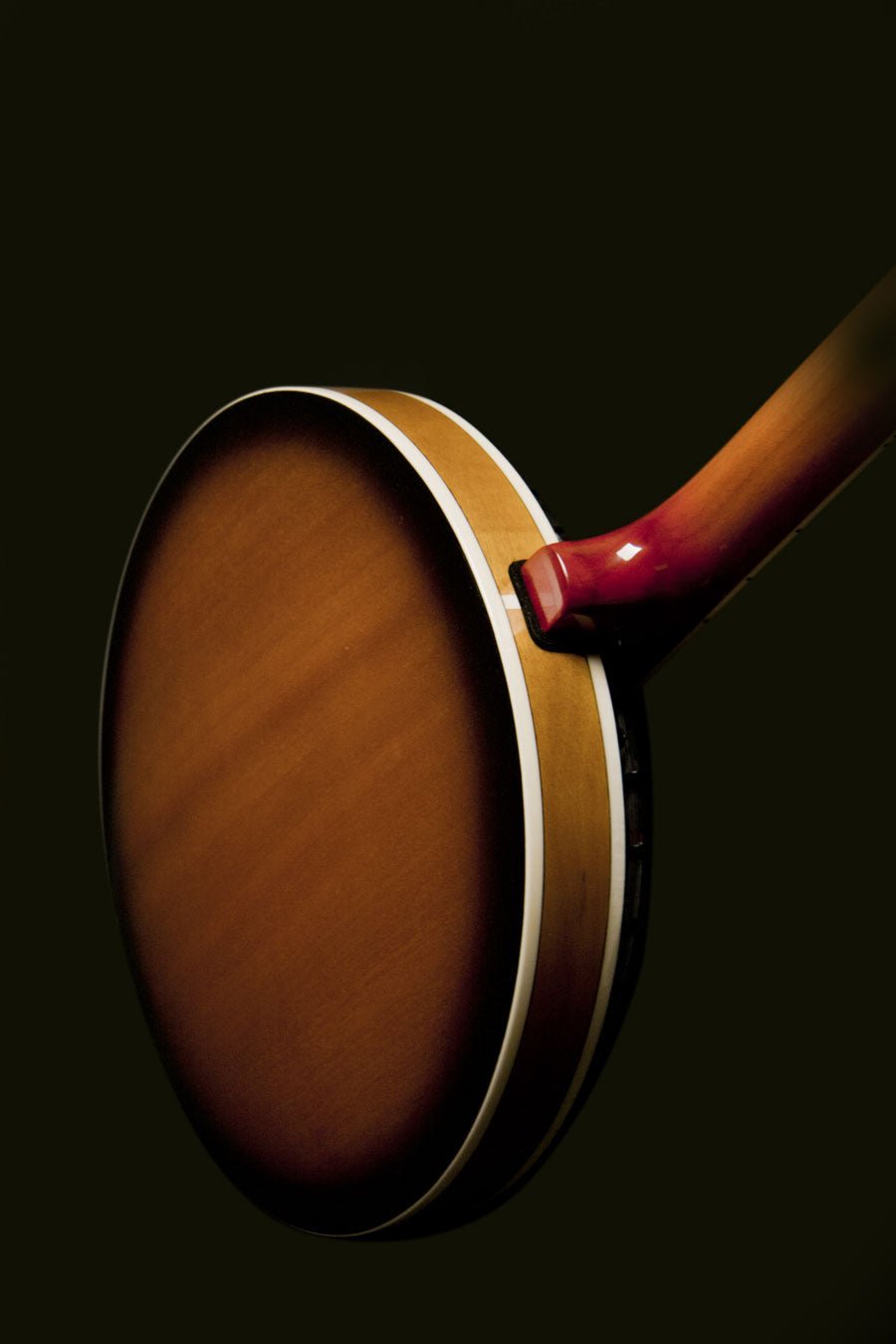 Washburn Americana Series B9 5 String Resonator Banjo Guitar - Upzy.com