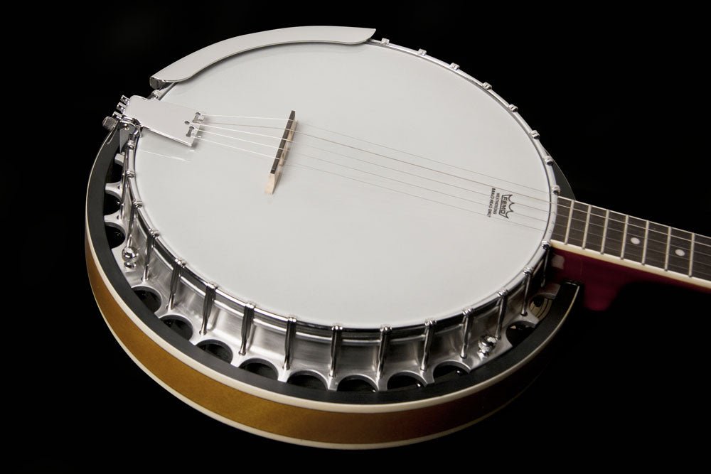 Washburn Americana Series B9 5 String Resonator Banjo Guitar - Upzy.com