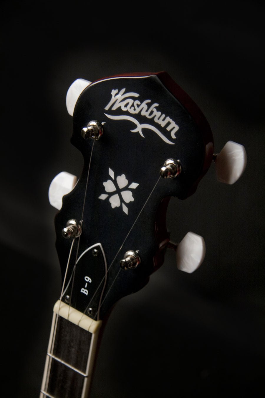 Washburn Americana Series B9 5 String Resonator Banjo Guitar - Upzy.com