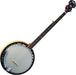 Washburn Americana Series B9 5 String Resonator Banjo Guitar - Upzy.com