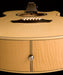 Washburn EA20 Festival Series Florentine Cutaway Electric Acoustic Guitar - Upzy.com