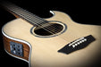 Washburn EA20SNB Nuno Festival Series Electric Acoustic Guitar - Upzy.com