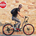 Wildsyde Paree 500W 48V Vintage Classic Electric Bike - Upzy.com