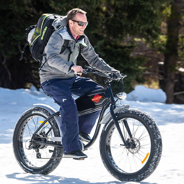 Wildsyde The Beast w/THROTTLE 500W 7 Speed Vintage Fat Tire Electric Bike - Upzy.com